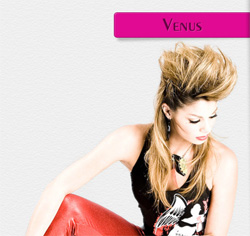 Шаблон для uCoz Venus