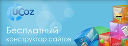 Почему стоит менять стандарты uСoz?