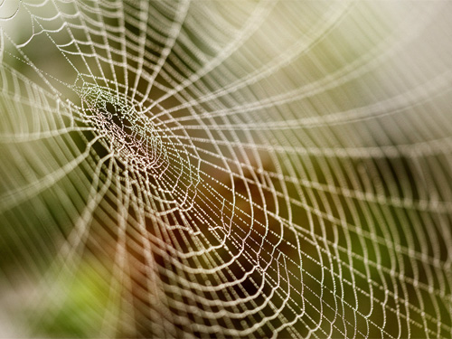 Преимущества Web 3.0