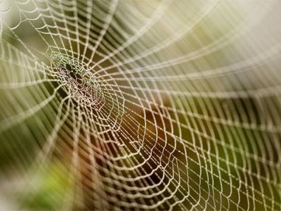 Преимущества Web 3.0